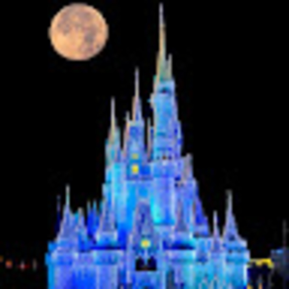 Meet your Posher, 1989